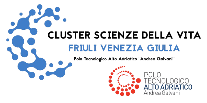 FVG